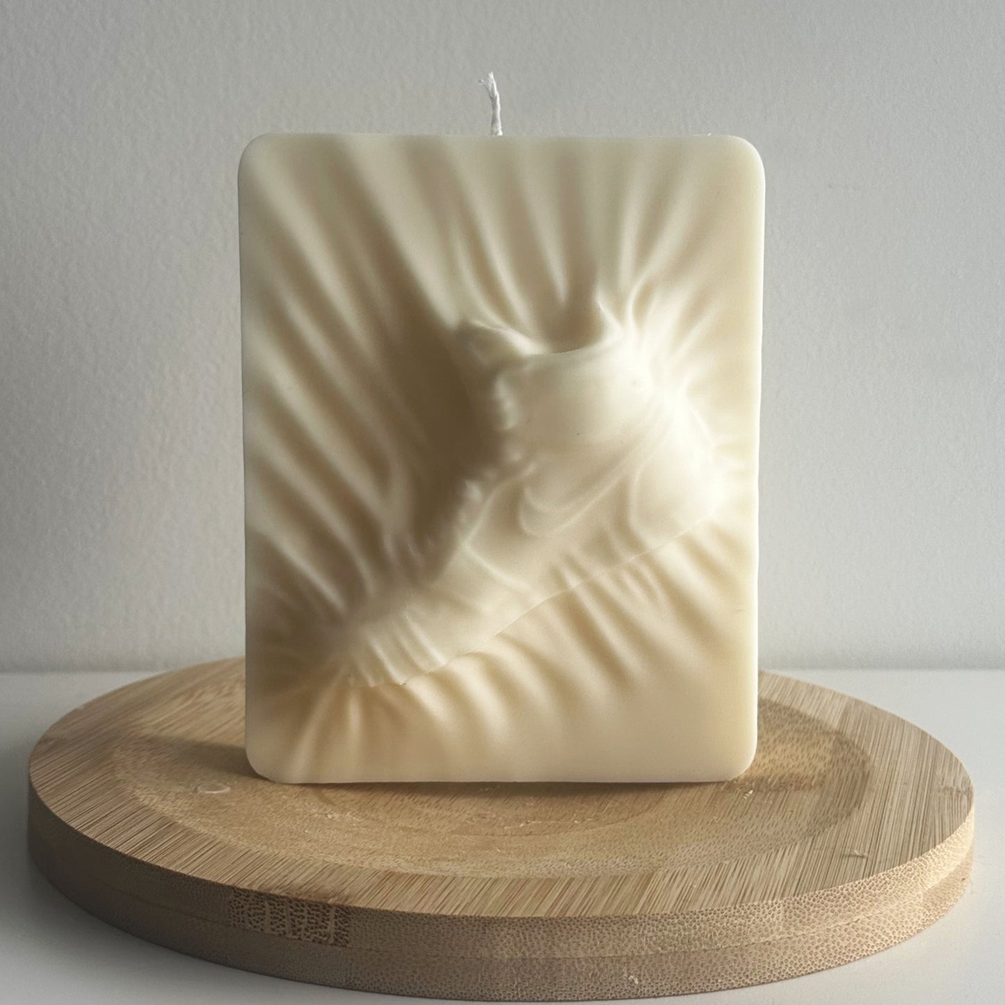 Air Jordan Candle | Sneakerhead Gift for Him | Gift For Sneakerhead | Decorative Candle | Sports Fan Gift