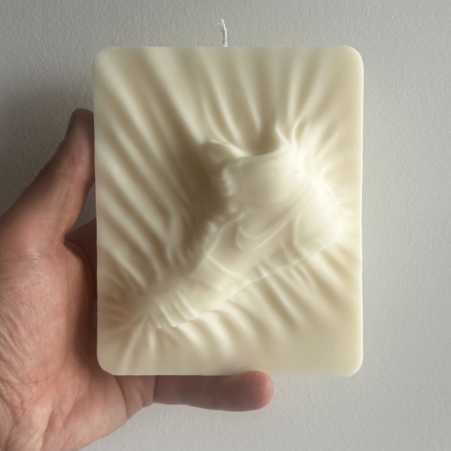 Air Jordan Candle | Sneakerhead Gift for Him | Gift For Sneakerhead | Decorative Candle | Sports Fan Gift
