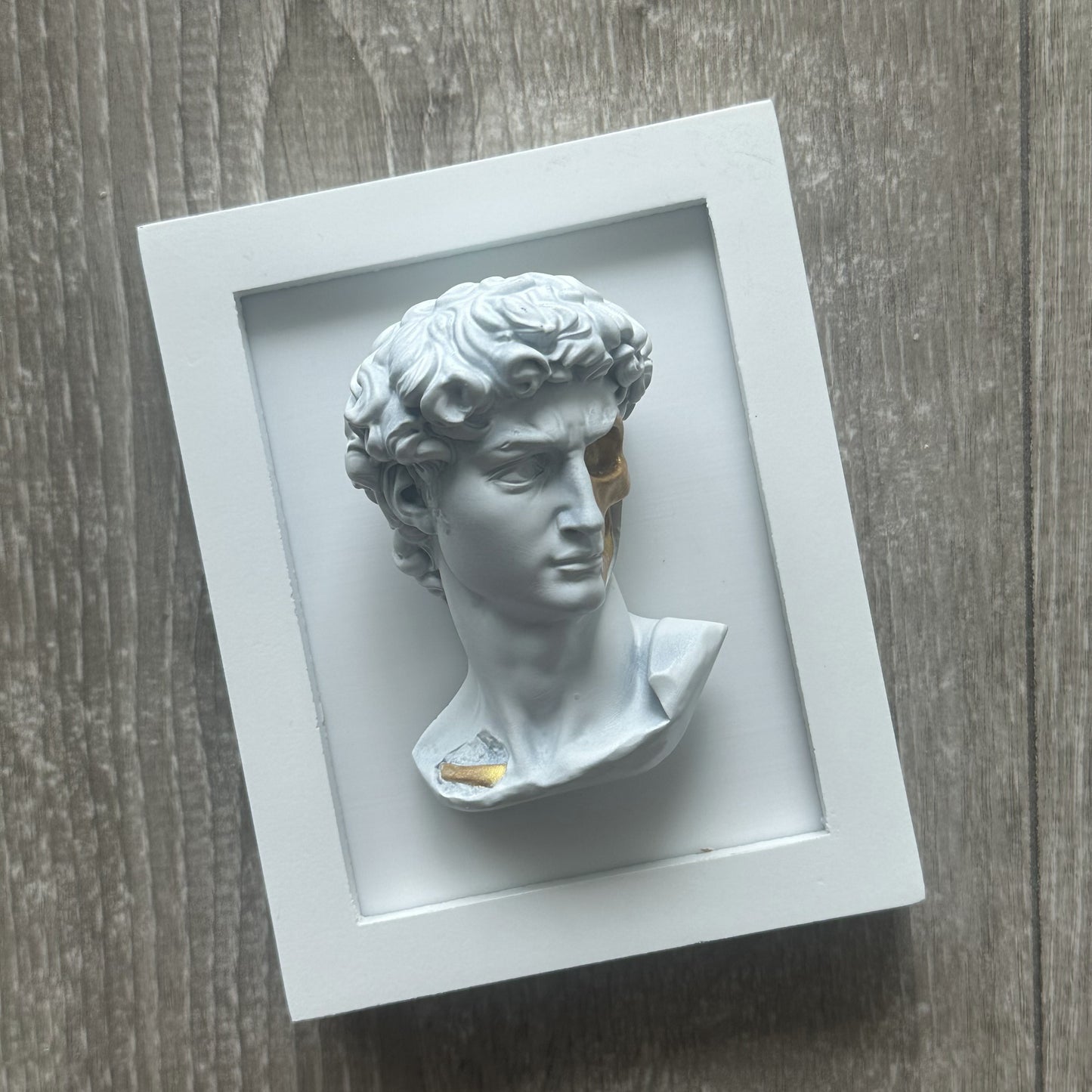 Framed Art of David Bust